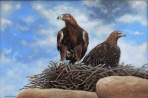 Golden Eagles on nest