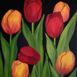 Tulips