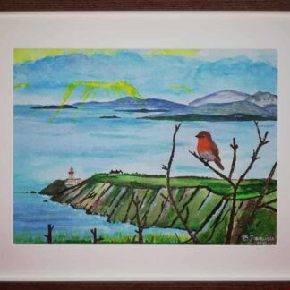 Robin in Howth