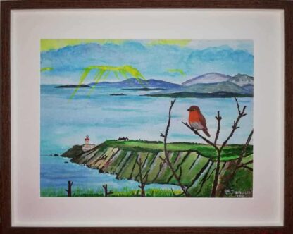 Robin in Howth