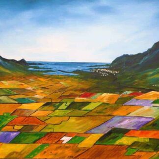 The fields of Dingle