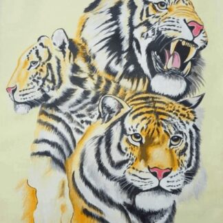 Tiger Family