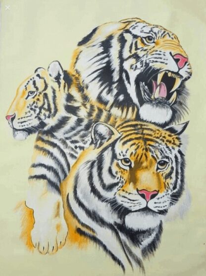 Tiger Family