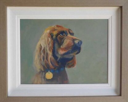 Cocker Spaniel animal painting for sale by Irish artist Dorothy Moorhead