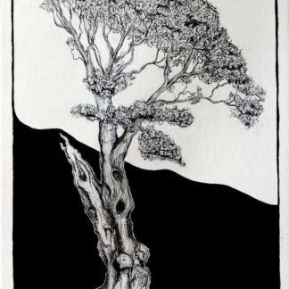  Belleek Tree Ink and acrylic drawing of a belleek tree by Irish artist Grace Tolan. 