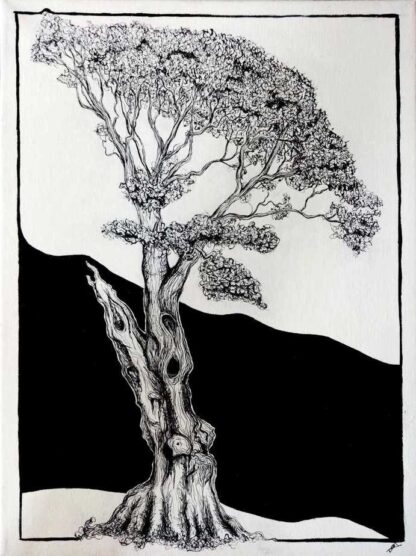  Belleek Tree Ink and acrylic drawing of a belleek tree by Irish artist Grace Tolan. 