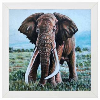 Out of Africa Oil Paintings of animals native to Africa by artist Rosemarie Kamana.