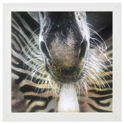 Zebra Series 2 Oil Paintings of animals native to Africa by artist Rosemarie Kamana.