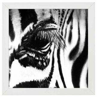 Zebra Series 4 Oil Paintings of animals native to Africa by artist Rosemarie Kamana.