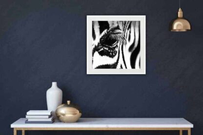 Zebra Series 4 Oil Paintings of animals native to Africa by artist Rosemarie Kamana.