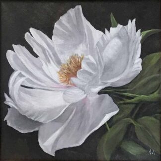 Floral Paintings