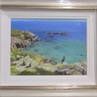 painting of Saltee Islands, Co. Wexford