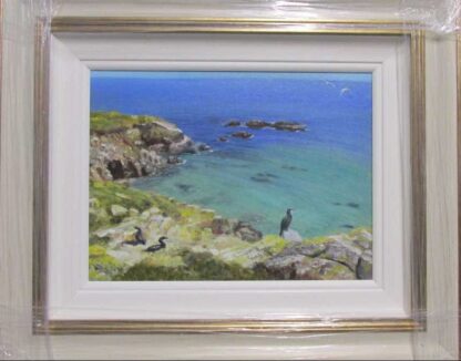 painting of Saltee Islands, Co. Wexford