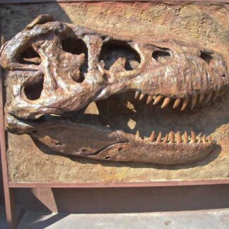 T Rex Skull Sculpture