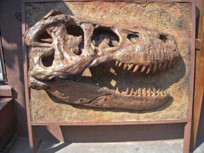 T Rex Skull Sculpture