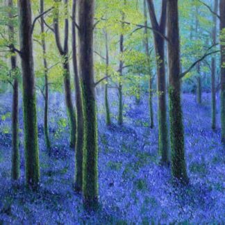 Bluebells wood Killarney landscape floral art, online gallery, gift ideas, wedding gifts, anniversary gifts, wall decor, home art