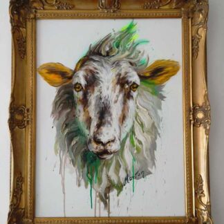 Irish ram