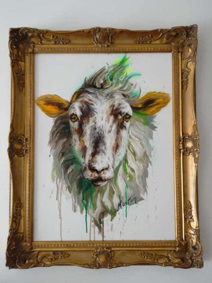 Irish ram