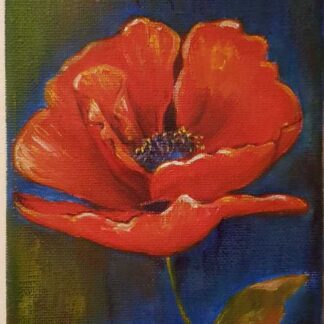 Poppy Paintings