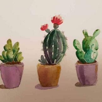 painting of Cacti for sale in online gallery by artist Leila Keshavarz. Online gallery selling original art on behalf of Irish artists