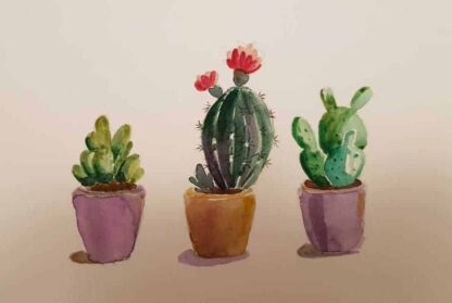 painting of Cacti for sale in online gallery by artist Leila Keshavarz. Online gallery selling original art on behalf of Irish artists