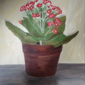 Original still life painting of a planted flower in a pot by Irish artist Kathleen Garrett. Browse a large selection of Irish art here