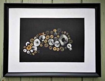 Original mushroom spore print art. Online gallery with a variety of art for sale for your home or give the gift of Irish art