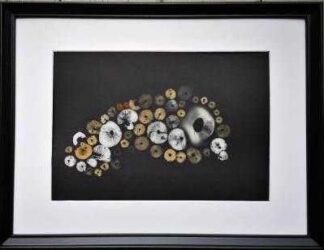 Original mushroom spore print art. Online gallery with a variety of art for sale for your home or give the gift of Irish art