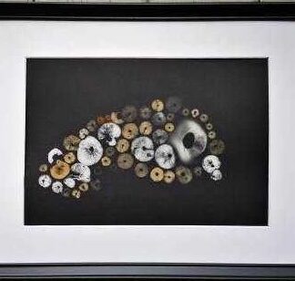 Original mushroom spore print art. Online gallery with a variety of art for sale for your home or give the gift of Irish art