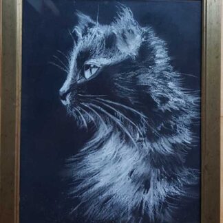 Original painting of a black cat for sale in online gallery. Framed painting ready to hang. Browse a huge variety of art for sale here