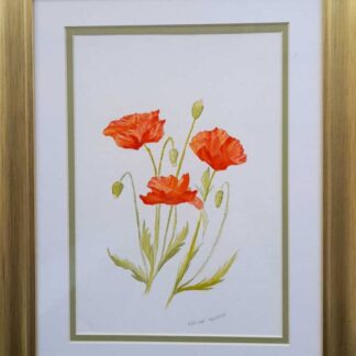 Original painting of poppies for sale in online gallery by Irish artist. Wonderful affordable art to gift this Christmas