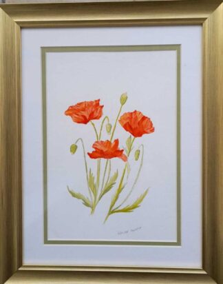 Original painting of poppies for sale in online gallery by Irish artist. Wonderful affordable art to gift this Christmas