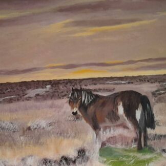 Original art for sale in online gallery. Painting of a pony by Irish artist. Art with free delivery within Ireland.