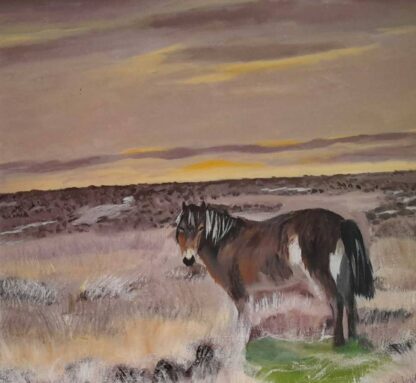 Original art for sale in online gallery. Painting of a pony by Irish artist. Art with free delivery within Ireland.