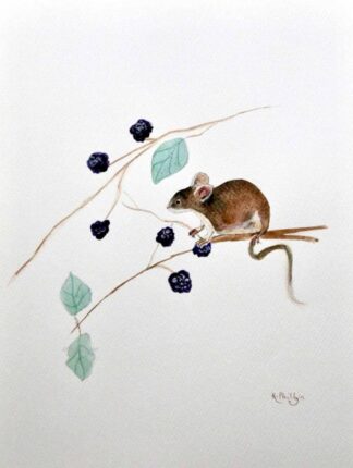 Field mouse, original woodland animal painting, watercolour art, original watercolour painting, cute animal, gift ideas