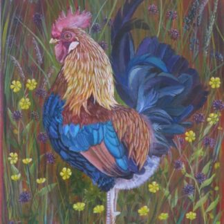 Original painting of a Cockrel by Irish artist. Beautiful art for your home, gift ideas and more. Browse a huge selection of art here