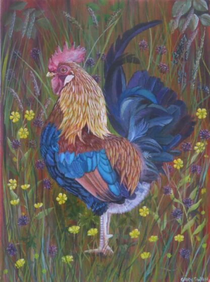 Original painting of a Cockrel by Irish artist. Beautiful art for your home, gift ideas and more. Browse a huge selection of art here