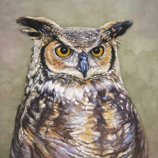 Original painting of an Owl for sale in online gallery. Browse a large selection of art for your home in online gallery