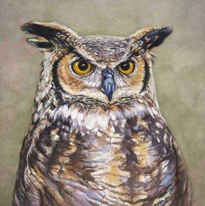 Original painting of an Owl for sale in online gallery. Browse a large selection of art for your home in online gallery