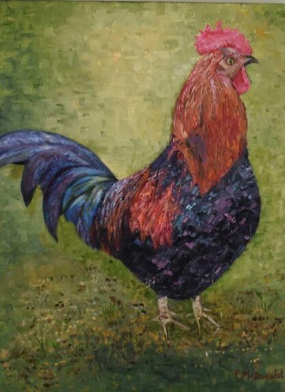 Original painting of a cockerel for sale in online gallery by Irish artist. Great gift idea or art for the home