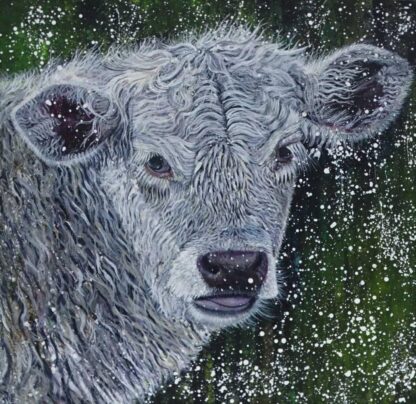 Original painting of a calf for sale in online gallery by Irish artist. Beautiful art for sale for any farm or cow lover