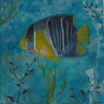 tropical fish 2