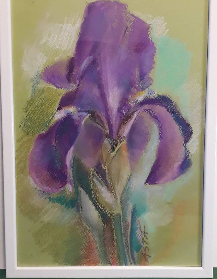Iris flower
