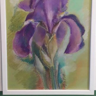 Floral painting of an Iris for sale