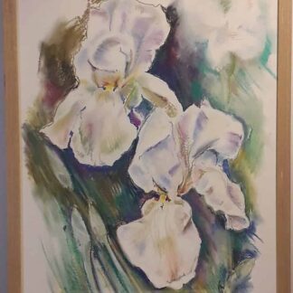 Floral paintings for sale on Ireland's online art gallery