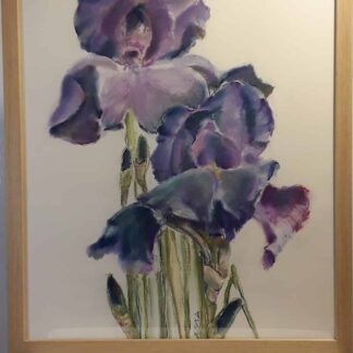 Floral paintings for sale on Ireland's online art gallery to buy and sell artwork