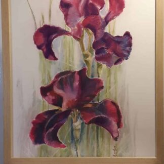 Floral paintings for sale on Ireland's online art gallery