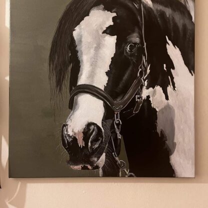 Equine painting of Polly the cob. Check out our large range of paintings of horses for sale on Ireland's online art gallery