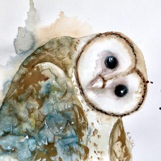 An original painting of a barn owl watercolour on paper. Check out our large selection of bird paintings for sale