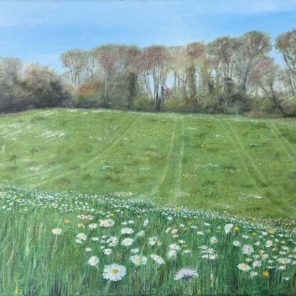 Painting of A field of Daisies caught my eye on a summer evening, so I went up the hillock to sit amongst them and maybe paint them.